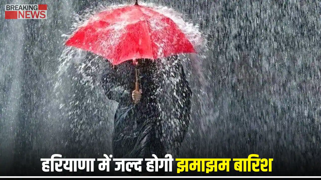 Haryana Weather Update